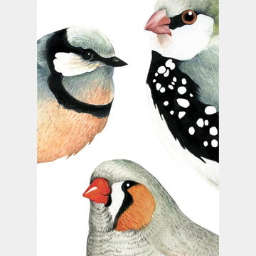 Tea Towel Father Rabbit Birds