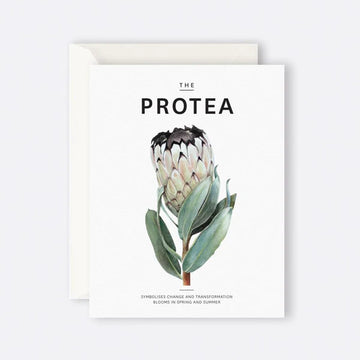 Father Rabbit Card - The Protea
