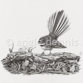Bird Prints of New Zealand - Piwaki. A4