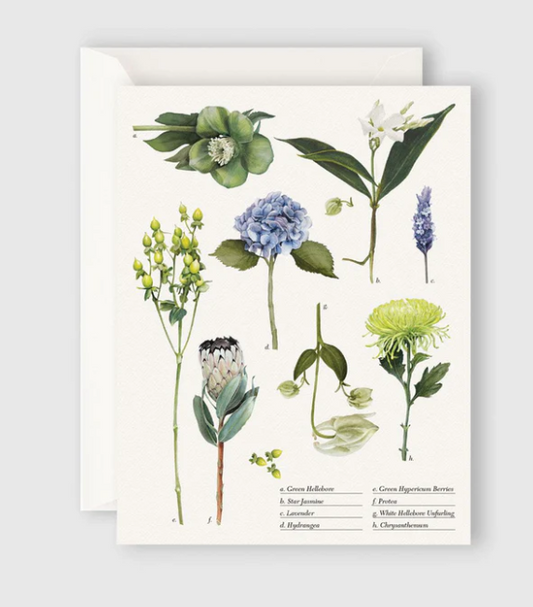 Father Rabbit Card  - Botanical collection