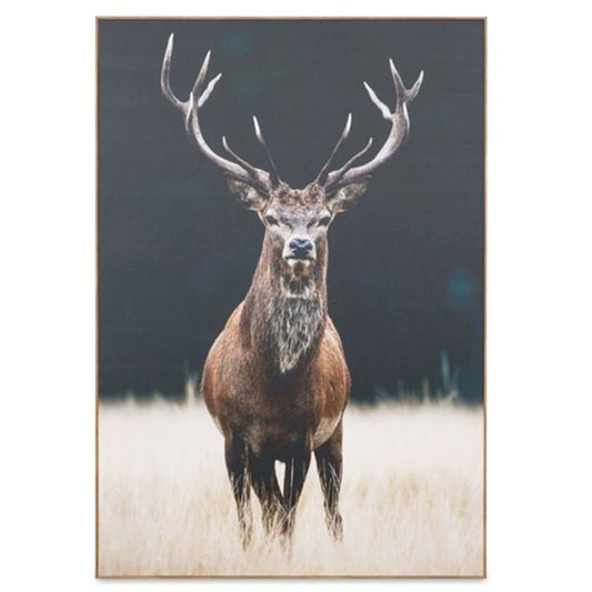 Photographic Framed Meadow Stag - Canvas print