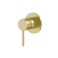 Pioneer Forge Shower/bath Mixer - Brushed Gold