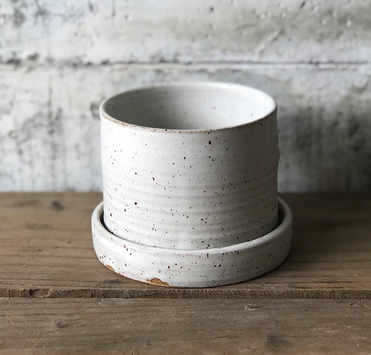 Ceramics Speckled Cream Planter