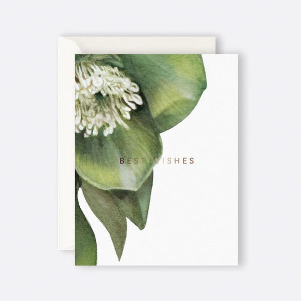 Father Rabbit Card  - Hellebore Best Wishes