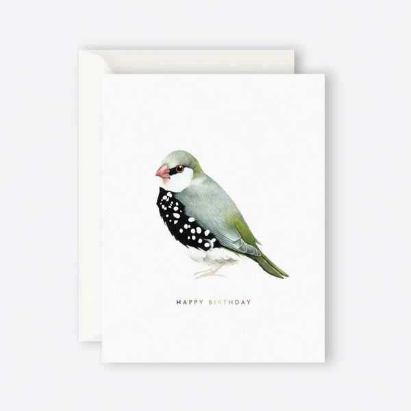 Father Rabbit Card  -  Happy Birthday Bird