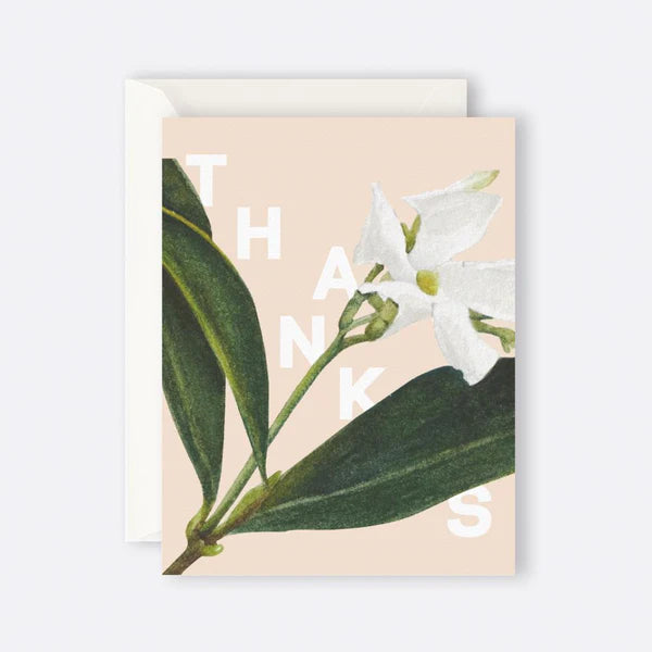 Father Rabbit Card  - Jasmine Thanks